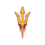 Arizona State University